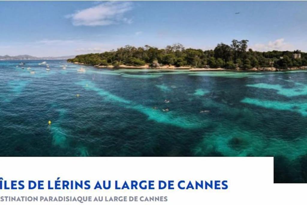 Residence De Luxe Sun Paradis, Studio Terrasse, Vue Mer Piscine カンヌ エクステリア 写真